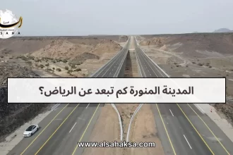 المدينة المنورة كم تبعد عن الرياض