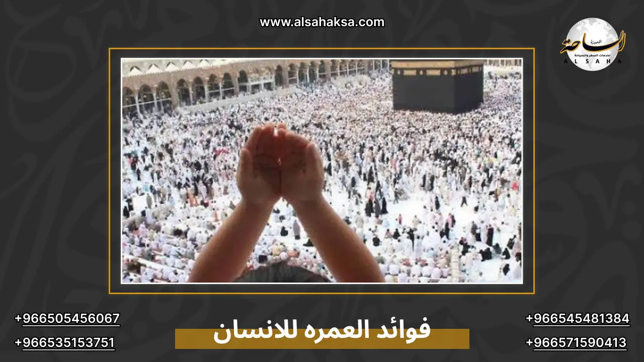 فوائد العمره للانسان