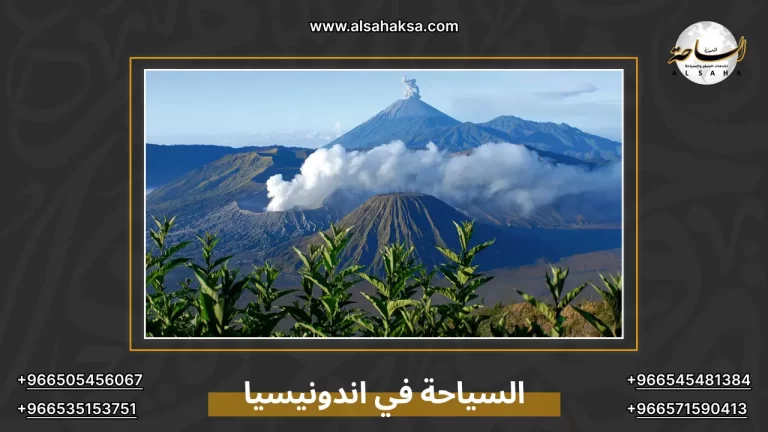 السياحة في اندونيسيا: مجموعة من أجمل الجزر والوجهات – الساحة