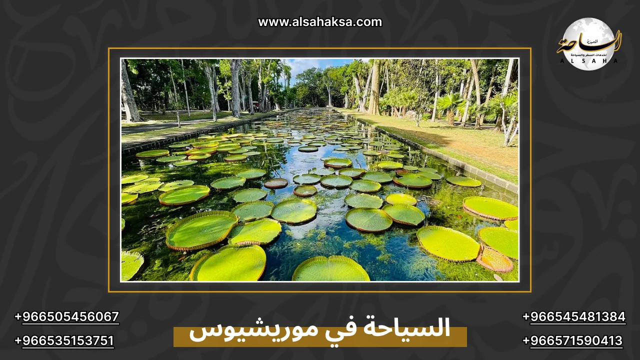 السياحة في موريشيوس