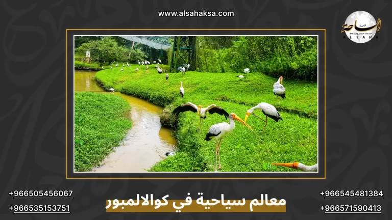 معالم سياحية في كوالالمبور لا تفوتك: ترفيه وثقافة – الساحة