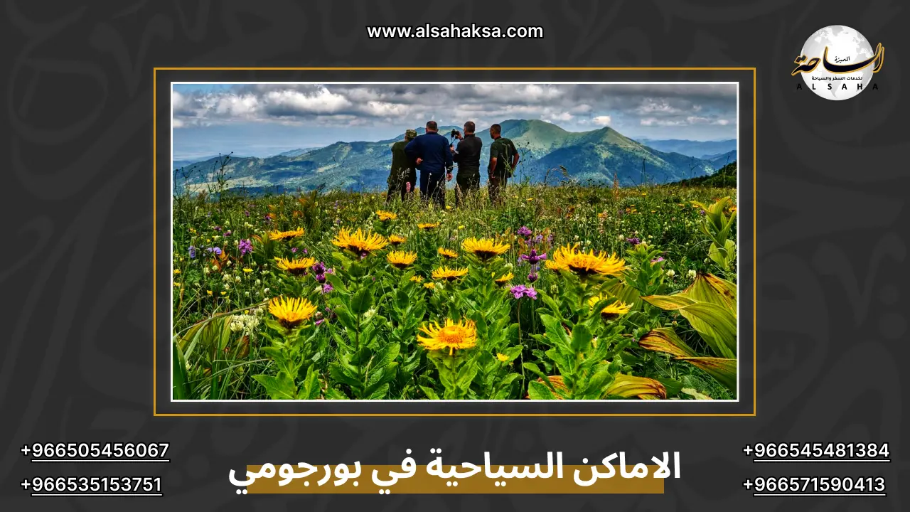 الاماكن السياحية في بورجومي
