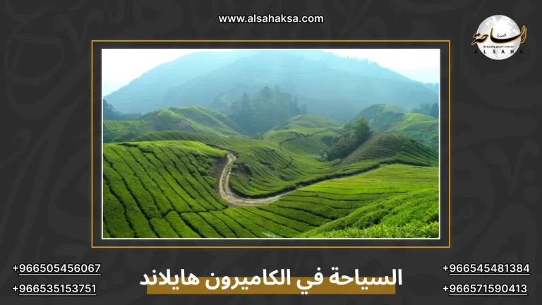 برنامج السياحة في الكاميرون هايلاند بماليزيا – الساحة