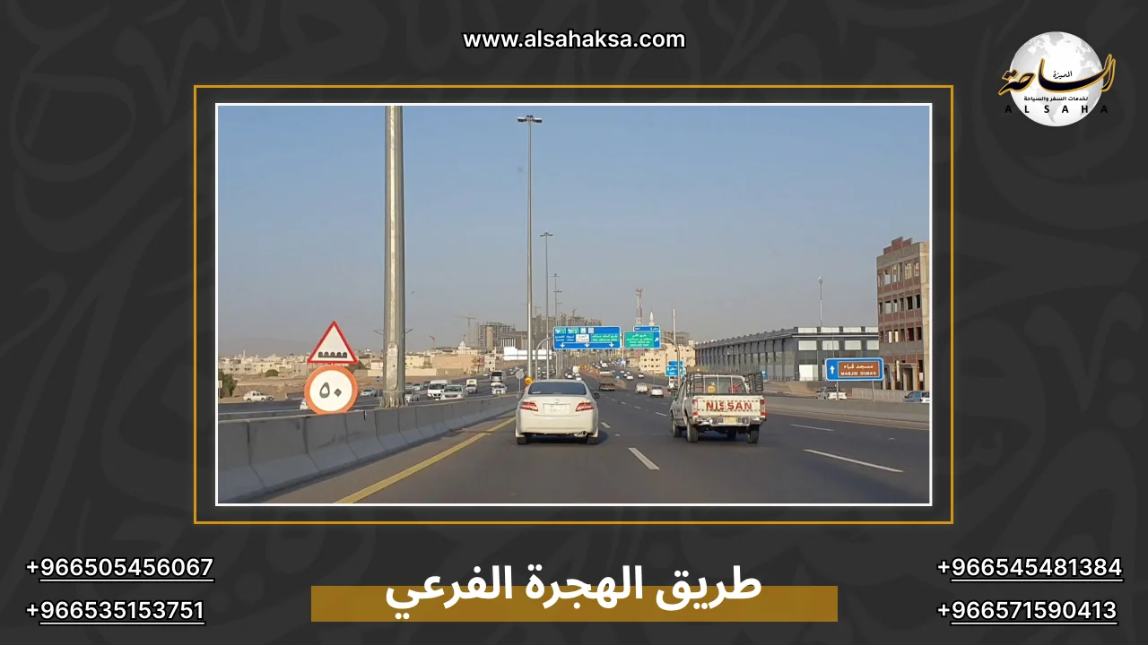 طريق الهجرة الفرعي