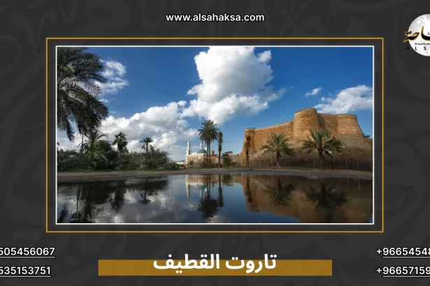 تاروت القطيف