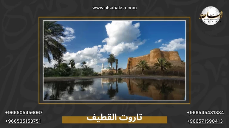 جزيرة تاروت القطيف