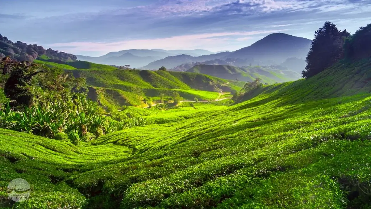 ماليزيا سياحة شهر العسل