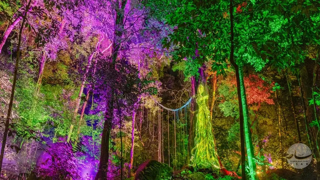 غابة الأحلام في لنكاوي